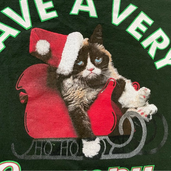 Grumpy Cat in Sleigh Have A Very Grumpy Christmas Green T Shirt Tee L Santa Hat - Picture 2 of 4